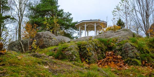 Sloped Yard with gazebo on top of hill